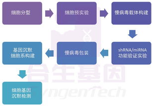 合生基因 基因沉默技術(shù)的前沿咨詢與行業(yè)應用